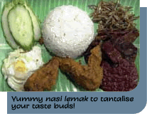 nasi lemak